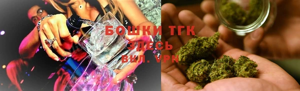 PSILOCYBIN Гвардейск