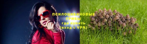 ешки Гатчина