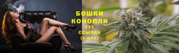 мяу мяу кристалл Гусь-Хрустальный