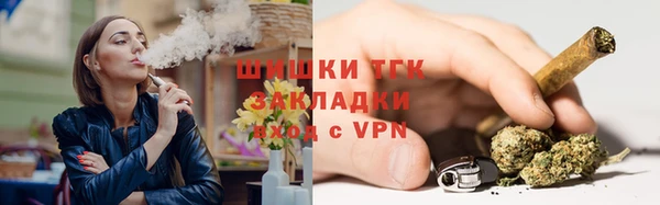 сатива Гусев