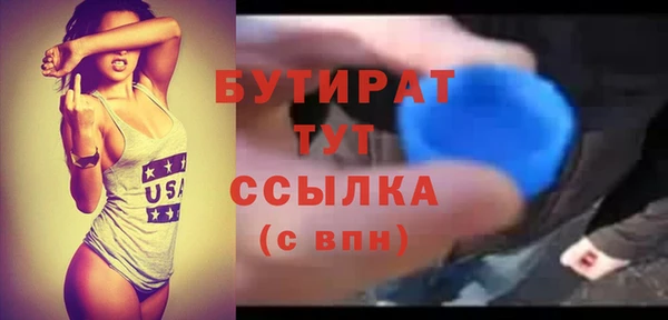 индика Дмитровск