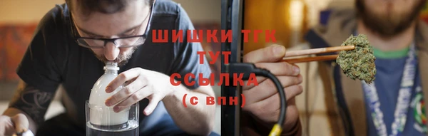 сатива Гусев