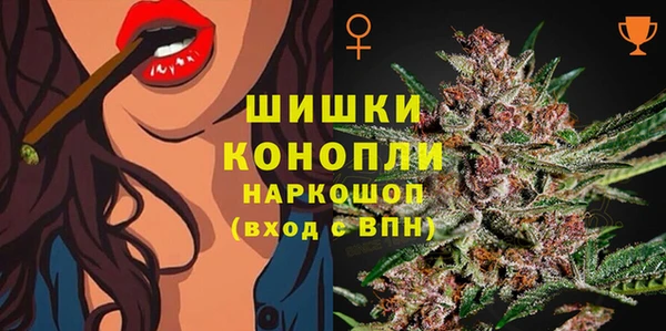 индика Дмитровск