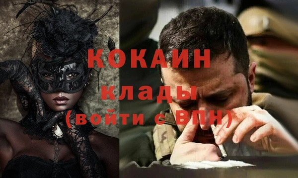 индика Дмитровск