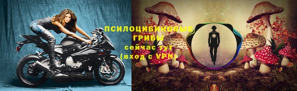мяу мяу кристалл Гусь-Хрустальный