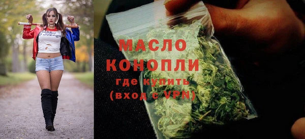 индика Дмитровск