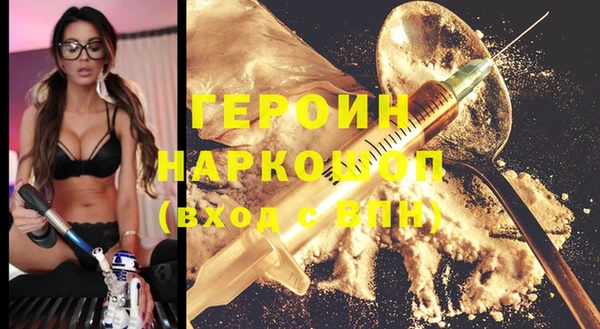 индика Дмитровск