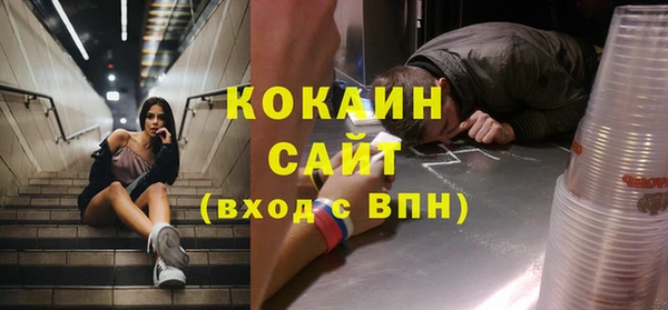 дживик Снежногорск